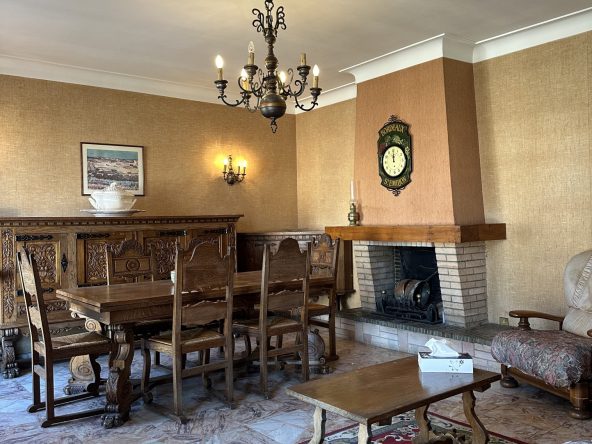 photo_93af95fd44cdcbb3e0c0500c6c9d96dc