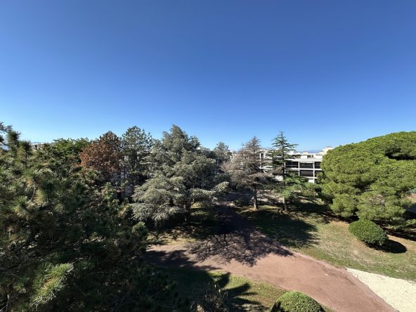 photo_b08a6af08733ada36180b346224b512d