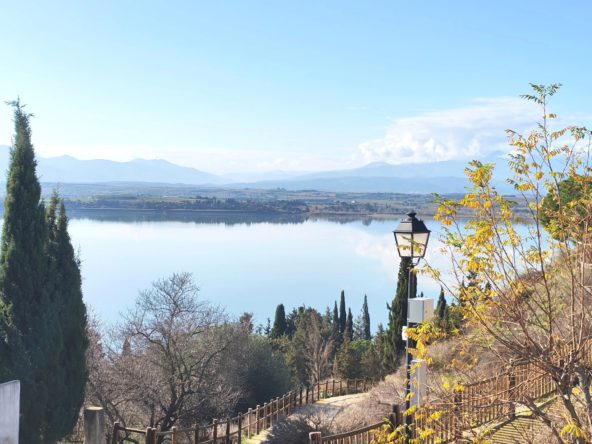 photo_1b699edee415bc91280a50da007ee9a2