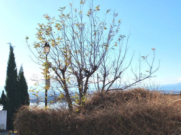 photo_bb9f0b5e4f1215f60f0d53ee513c4666