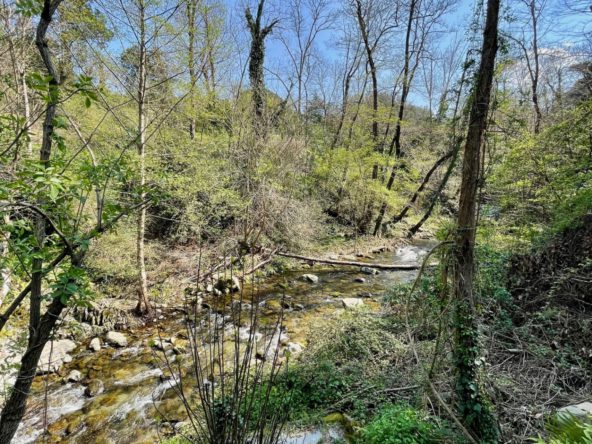 photo_bde9a20ec7260831b4c2c7dce1ceffbe